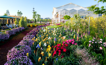 聚焦花園經濟 引領健康生活——2020世界花園大會圓滿落幕